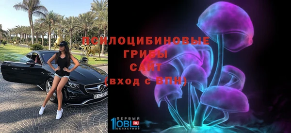 мдма Новодвинск