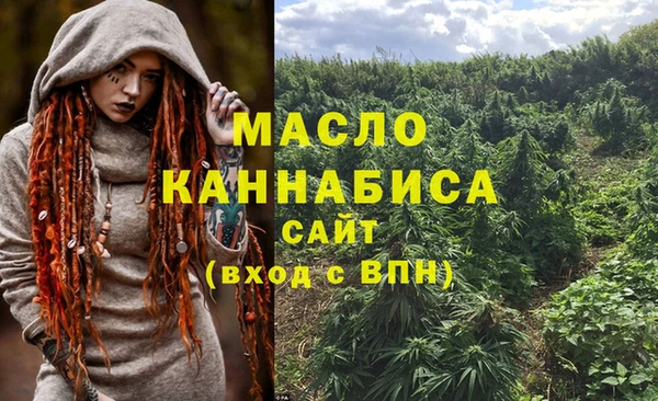 мдма Новодвинск